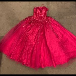 Quinceañera dress | ball gown | princess gown